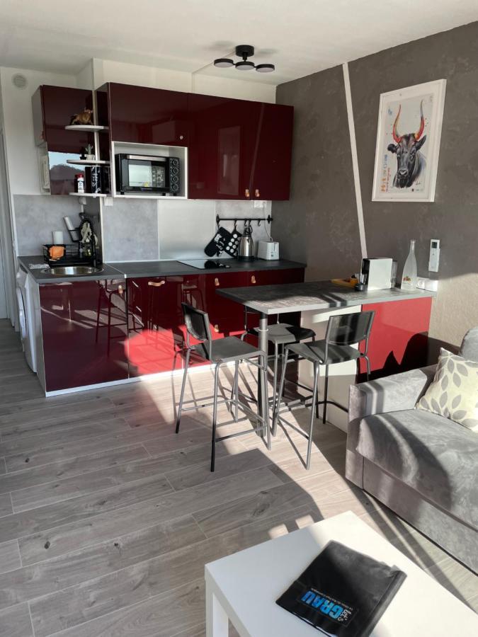 Superbe Studio, Terrasse, Piscine, Parking Le Grau-du-Roi Buitenkant foto